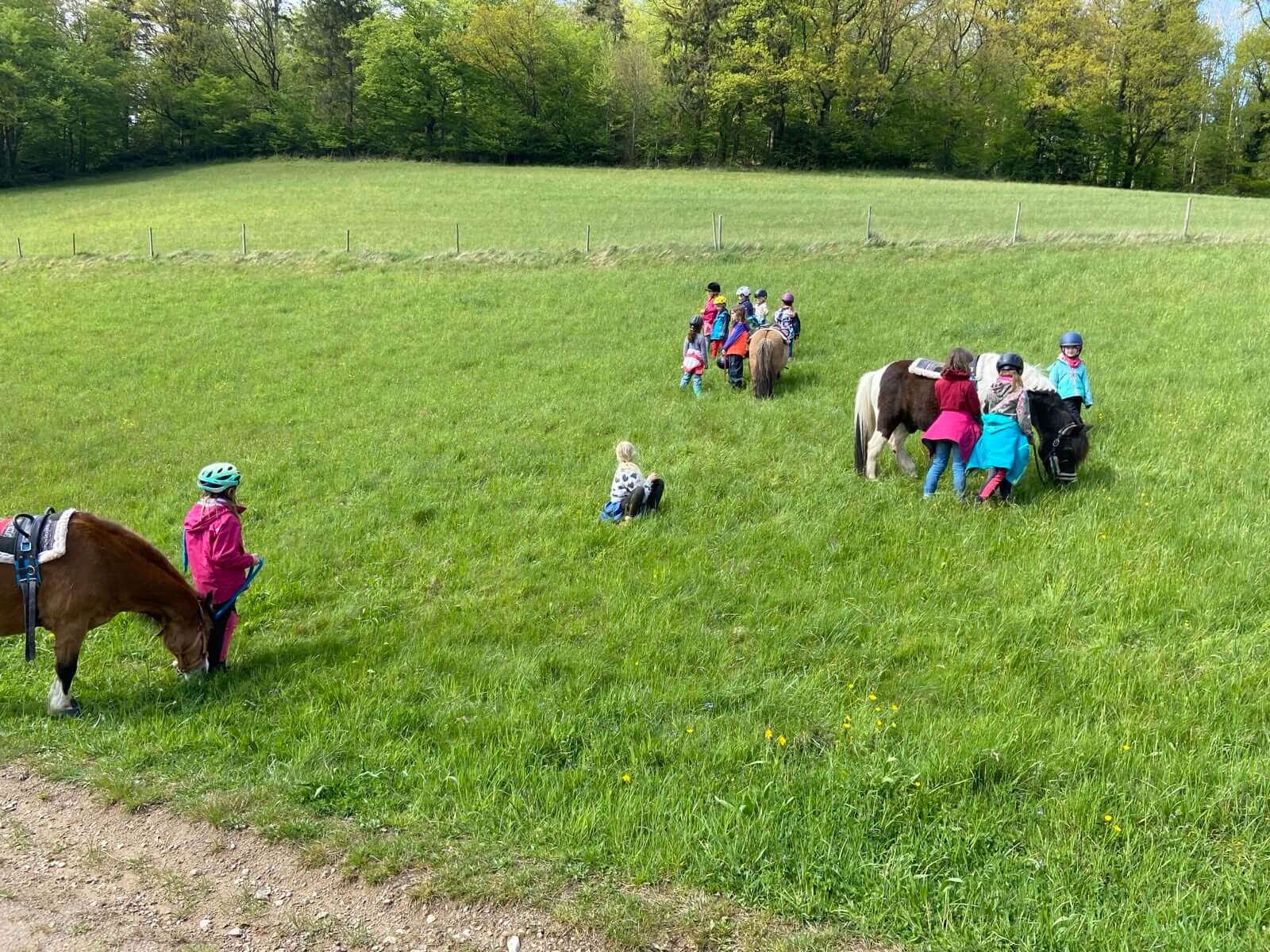 Kinder auf der Wiese